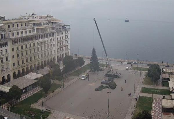 Θεσσαλονίκη: Τοποθετείται το Χριστουγεννιάτικο δέντρο στην Πλατεία Αριστοτέλους (φωτό)