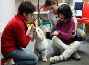 Θεσσαλονίκη: Εκπαιδευμένοι σκύλοι βοηθάνε άτομα με ειδικές ανάγκες