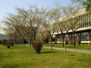 Συνέλαβαν διακινητές χασίς μέσα στο Αριστοτέλειο Πανεπιστήμιο