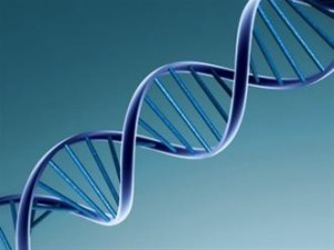 Το ΑΠΘ γιορτάζει την Παγκόσμια Ημέρα DNA (DNA Day)