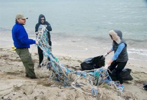 Δράση εθελοντικού καθαρισμού της παραλίας Αλυκής Κίτρους