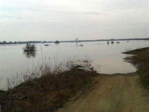 Χάθηκαν τα ίχνη μίας γυναίκας και τριών παιδιών στον ποταμό Έβρο, στο Σοφικό Διδυμοτείχου.
