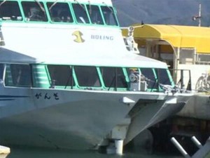 Πλοίο τράκαρε με... φάλαινα στην Ιαπωνία.100 τραυματίες μεταξύ των οποίων 5 σοβαρά