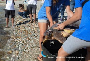  Διπλή απελευθέρωση. Δυο θηλυκές αποθεραπευμένες θαλάσσιες χελώνες επέστρεψαν στο φυσικό τους περιβάλλον