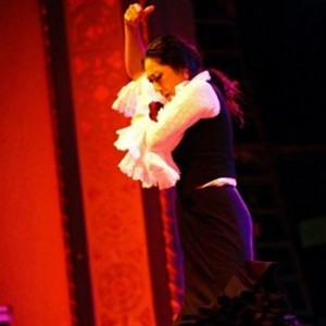 Solo flamenco στο .es (ΑΚΥΡΩΣΗ)