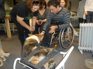 Η ανάπηρη σκυλίτσα Φράνκα βοηθά άτομα με ειδικές ανάγκες