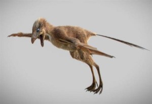Κίνα: Ανακαλύφθηκε ασυνήθιστος μικροσκοπικός δεινόσαυρος ο οποίος πετούσε με φτερά σαν της νυχτερίδας