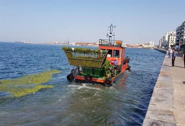 Θεσσαλονίκη: H ALUMIL χρηματοδοτεί την ΑΛΚΙΠΠΗ για τον καθαρισμό του παραλιακού μετώπου