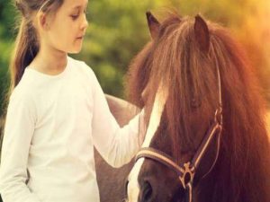 Τα άλογα μπορούν να διακρίνουν τα ανθρώπινα συναισθήματα