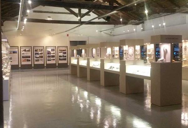 Άνοιξε το Αριστοτέλειο Μουσείο  Φυσικής Ιστορίας Θεσσαλονίκης