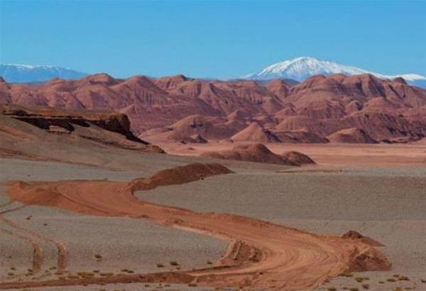 Αργεντινή: 5χρονος περιπλανήθηκε για 24 ώρες στην έρημο και διασώθηκε