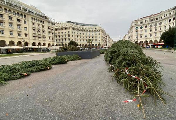 Θεσσαλονίκη: Η Πλατεία Αριστοτέλους υποδέχεται τα πρώτα Χριστουγεννιάτικα δένδρα