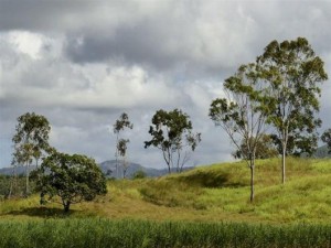 Οι Αβορίγινες της Αυστραλίας είναι ο αρχαιότερος πολιτισμός στη Γη