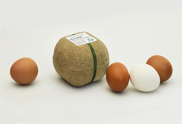 Biodegrapak: Η καινοτόμος συσκευασία αβγών του Θεσσαλονικιού Γιώργου Μπόσνα  φυτεύεται στη γη και δίνει...φακές!