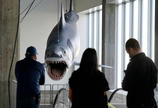 «Μπρους»: Ο καρχαρίας από τα «Σαγόνια του Καρχαρία» στο μουσείο των Όσκαρ