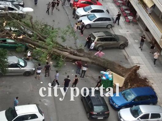 Απίστευτη εικόνα - Μεγάλο δένδρο στο κέντρο της Θεσσαλονίκης καταπλάκωσε δύο οχήματα