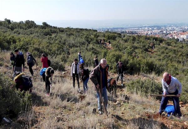 Πανεπιστήμιο Μακεδονίας: Φοιτητές πρωτοστατούν στην αναδάσωση φυτεύοντας περίπου 800 δένδρα 