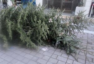 Δήμος Πυλαίας Χορτιάτη: Κάνε το Χριστουγεννιάτικο Δένδρο σου πολύτιμο λίπασμα με 1 τηλεφώνημα 