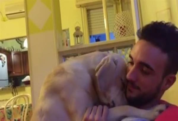 Viral το βιντεάκι με τον σκύλο που ''ζητά συγγνώμη'' από το αφεντικό του για τις σκανδαλιές του