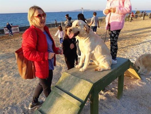  Στο Ηράκλειο Κρήτης  το πρώτο πάρκο Σκύλων