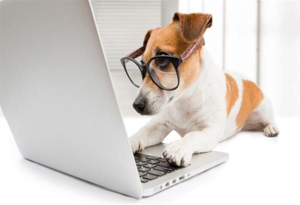 Στη Θεσσαλονίκη δημιούργησαν το Doggo:  Η πρώτη εφαρμογή social media...για σκύλους!
