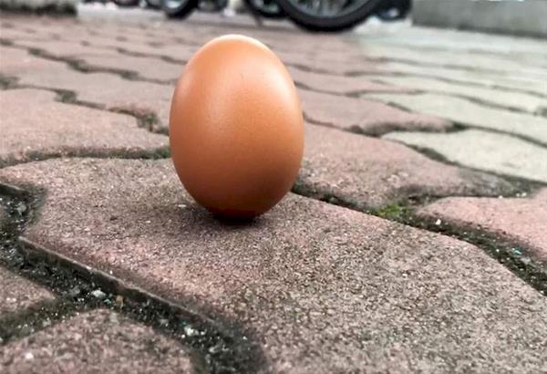 Το πείραμα του όρθιου αυγού έγινε viral λόγω της έκλειψης του Ηλίου