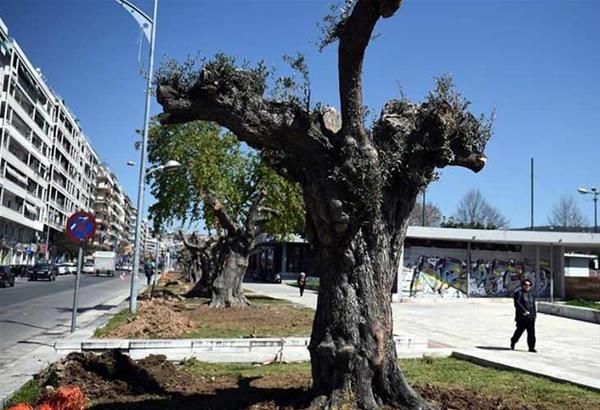 Δήμος Θεσσαλονίκης: Παραδίδεται το έργο της Αγγελάκη