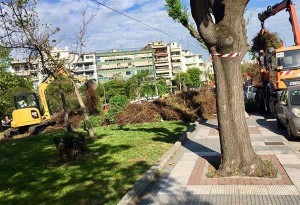 Δήμος Θεσσαλονίκης: Καθαρισμός στο Πάρκο των Εθνών