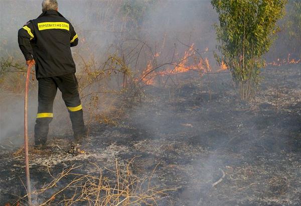Άμεση κατάσβεση πυρκαγιάς, στα όρια του Σέιχ - Σου