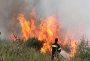 Πυρκαγιά έχει ξεσπάσει σε απορρίμματα σε περιοχή ανάμεσα στα Διαβατά και το Ωραιόκαστρο 