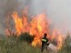 Χαλκιδική: Φωτιά εκδηλώθηκε στη Σιθωνία
