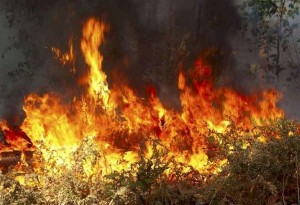 Φωτιά σε χορτολιβαδική έκταση στην Ξυλόπολη Θεσσαλονίκης