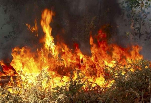 Έκτακτο: Πυρκαγιά στην Κασσάνδρα Χαλκιδικής πριν λίγη ώρα