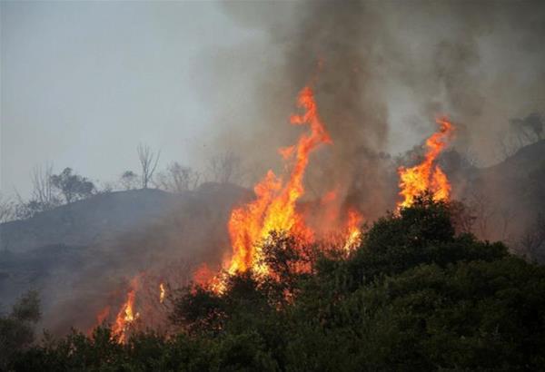 Ανεξέλεγκτη η πυρκαγιά στην Εύβοια:  Ιταλία και Κροατία στέλνουν πυροσβεστικά αεροσκάφη