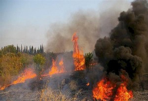 Εκκενώθηκε ο οικισμός Βίγγλα στην Κέρκυρα λόγω μεγάλης φωτιάς
