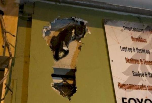 Θεσσαλονίκη: Καταστηματάρχης έκλεισε  γάτα μέσα σε γυψοσανίδα. Πυροσβέστες την έσωσαν 