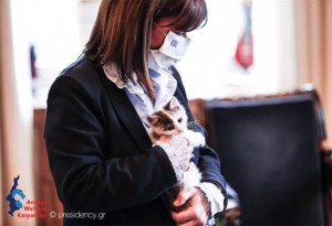 Καλυψώ: Το αδέσποτο γατάκι που υιοθέτησε η ΠτΔ Κατερίνα Σακελλαροπούλου 