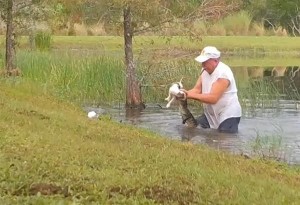 Φλόριντα-ΗΠΑ: Άνδρας παλεύει με αλιγάτορα για να σώσει το σκυλάκι του (βίντεο)