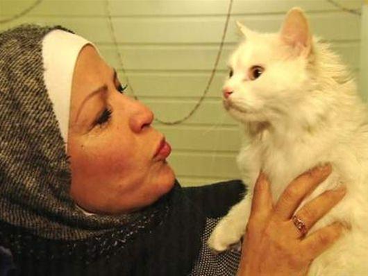 Απίστευτη ιστορία: Γάτος πρόσφυγας μεταφέρθηκε από τη Λέσβο στη Νορβηγία στην οικογένεια που τον έχασε