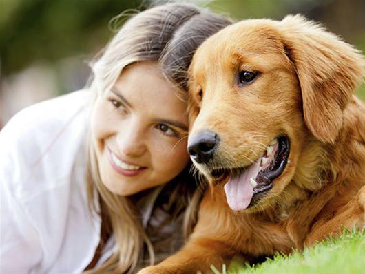 10 συμβουλές για την ασφάλεια του σκύλου σας