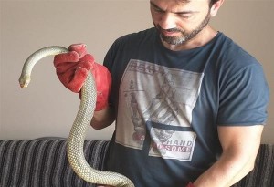 Θεσσαλονίκη: Τρία φίδια βρέθηκαν μέσα στην πόλη 