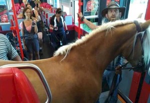 Αυστρία: Πήρε το τρένο παρέα με το... άλογό του....
