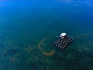 Το Καλοχώρι και η λιμνοθάλασσα του, από ψηλά όπως δεν το έχετε ξαναδεί ποτέ (video)