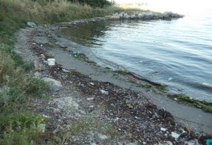 Δήμος Θεσσαλονίκης: Εθελοντικός καθαρισμός τμήματος ακτής στον Κελλάριο Όρμο