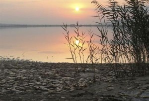 Χατζηδάκης: Λύνουμε με τροπολογία το πρόβλημα της λίμνης Κορώνεια για να μην μείνει Σισύφειο έργο
