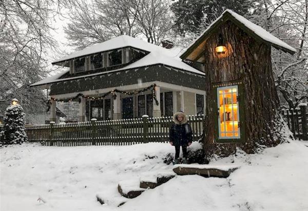 ΗΠΑ: Έφτιαξε μια βιβλιοθήκη σε κορμό δέντρου 110 ετών!