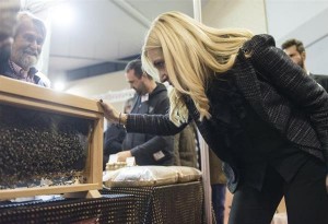 Διοργάνωση του 11ου Συνεδρίου Ελληνικού Μελιού & Προϊόντων Μέλισσας