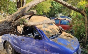 Ανατολική Θεσσαλονίκη: Ζημιές σε τέσσερα Ι.Χ. αυτοκίνητα από πτώση δέντρου