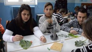 Διεθνή  πρωτιά για 2 δημοτικά σχολεία της Φλώρινας σε διαγωνισμό νανοτεχνολογίας