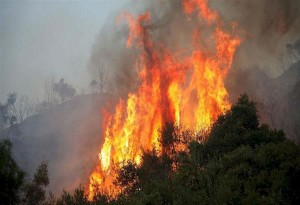 Xαλκιδική: Φωτιά έχει ξεσπάσει στην περιοχή της Νικήτης